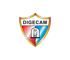 digecam